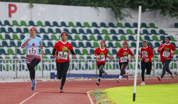 دومیدانی جزیره